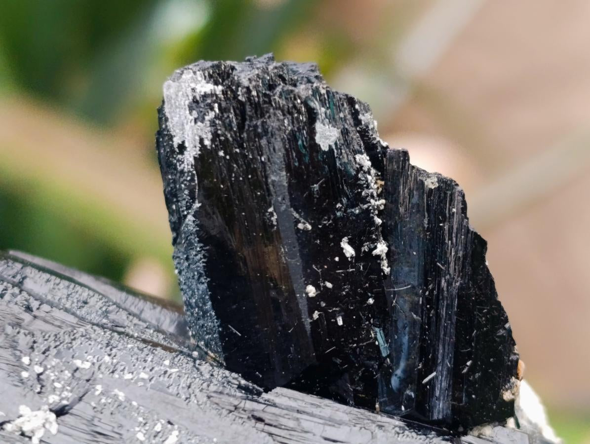 Natural Large Double Terminated Schorl Black Tourmaline Crystal with Feldspar x 1 From Erongo, Namibia