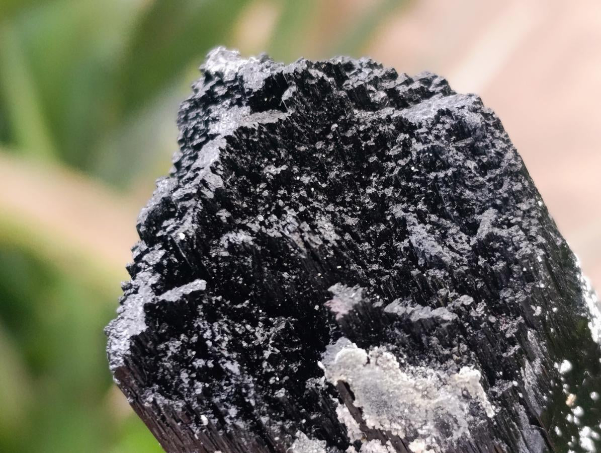 Natural Large Double Terminated Schorl Black Tourmaline Crystal with Feldspar x 1 From Erongo, Namibia