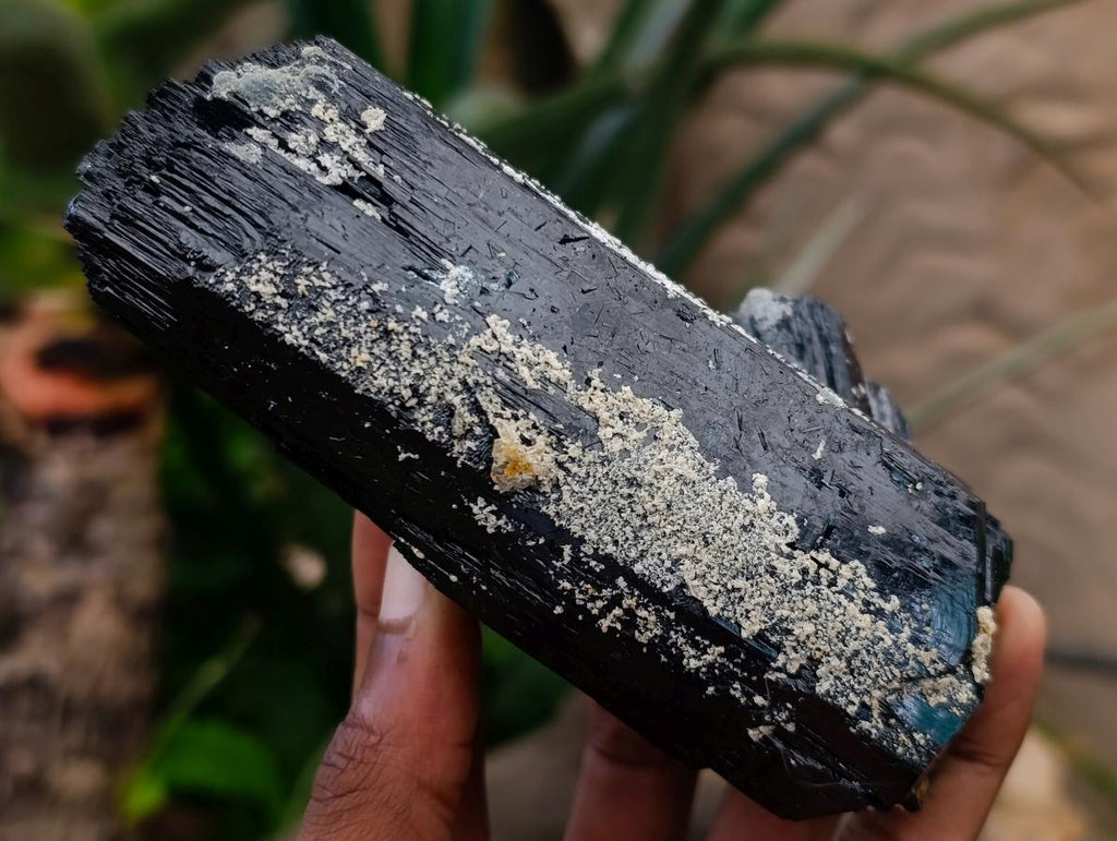 Natural Large Double Terminated Schorl Black Tourmaline Crystal with Feldspar x 1 From Erongo, Namibia