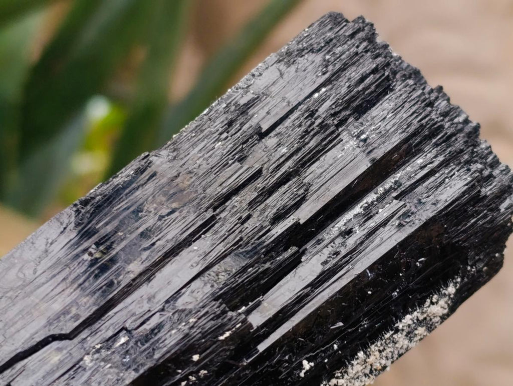 Natural Large Double Terminated Schorl Black Tourmaline Crystal with Feldspar x 1 From Erongo, Namibia