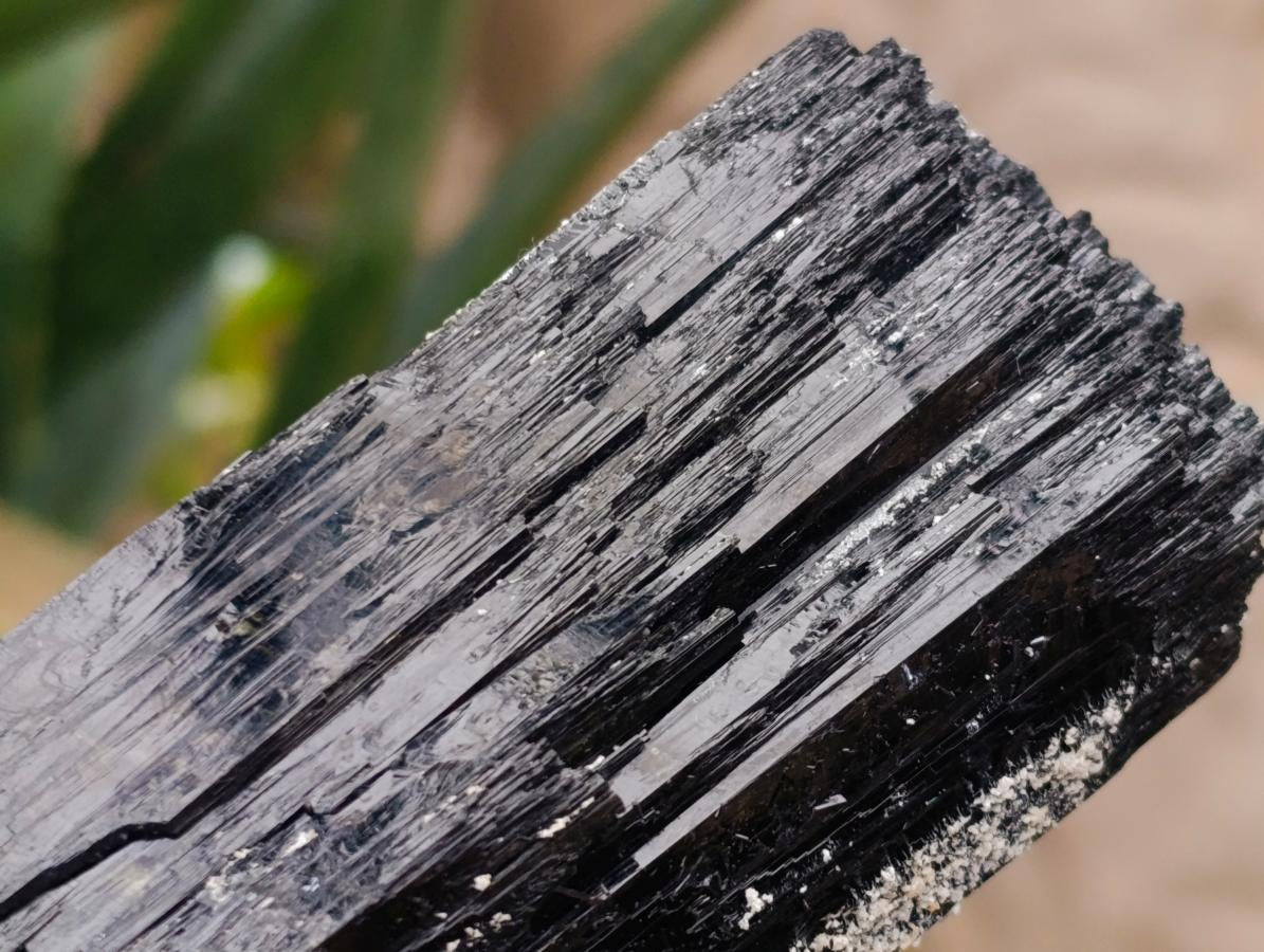 Natural Large Double Terminated Schorl Black Tourmaline Crystal with Feldspar x 1 From Erongo, Namibia