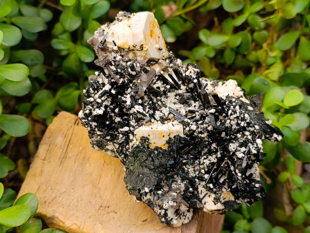 Natural Large Aegirine Specimen with Associated Minerals x 1 From Zomba, Malawi