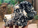 Natural Large Aegirine Specimen with Associated Minerals x 1 From Zomba, Malawi