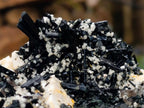 Natural Large Aegirine Specimen with Associated Minerals x 1 From Zomba, Malawi