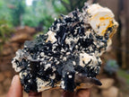 Natural Large Aegirine Specimen with Associated Minerals x 1 From Zomba, Malawi