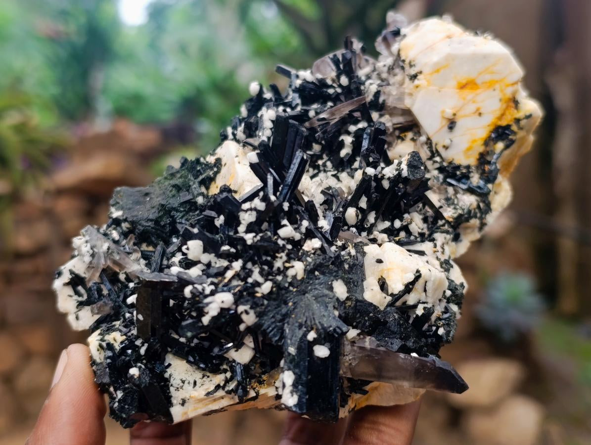 Natural Large Aegirine Specimen with Associated Minerals x 1 From Zomba, Malawi