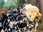 Natural Large Aegirine Specimen with Associated Minerals x 1 From Zomba, Malawi