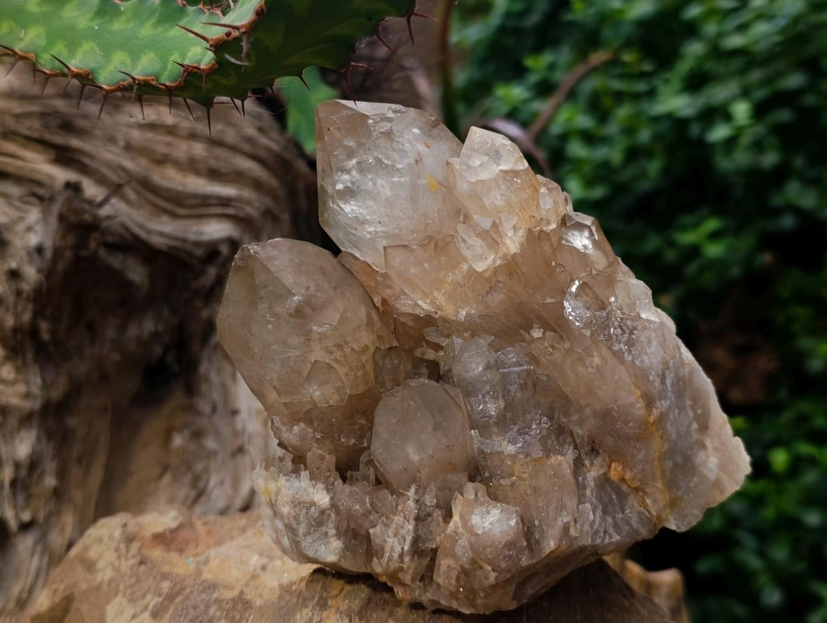 Natural Twin Cascading Luena Citrine Crystal Cluster x 1 From Luena Congo