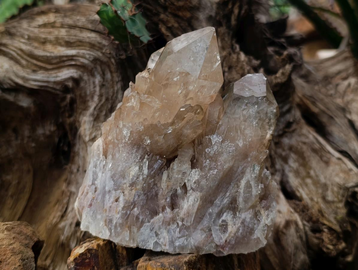 Natural Twin Cascading Luena Citrine Crystal Cluster x 1 From Luena Congo