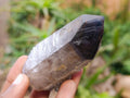 Natural Rare Double Terminated Smokey Quartz Crystal x 1 From Zomba, Malawi