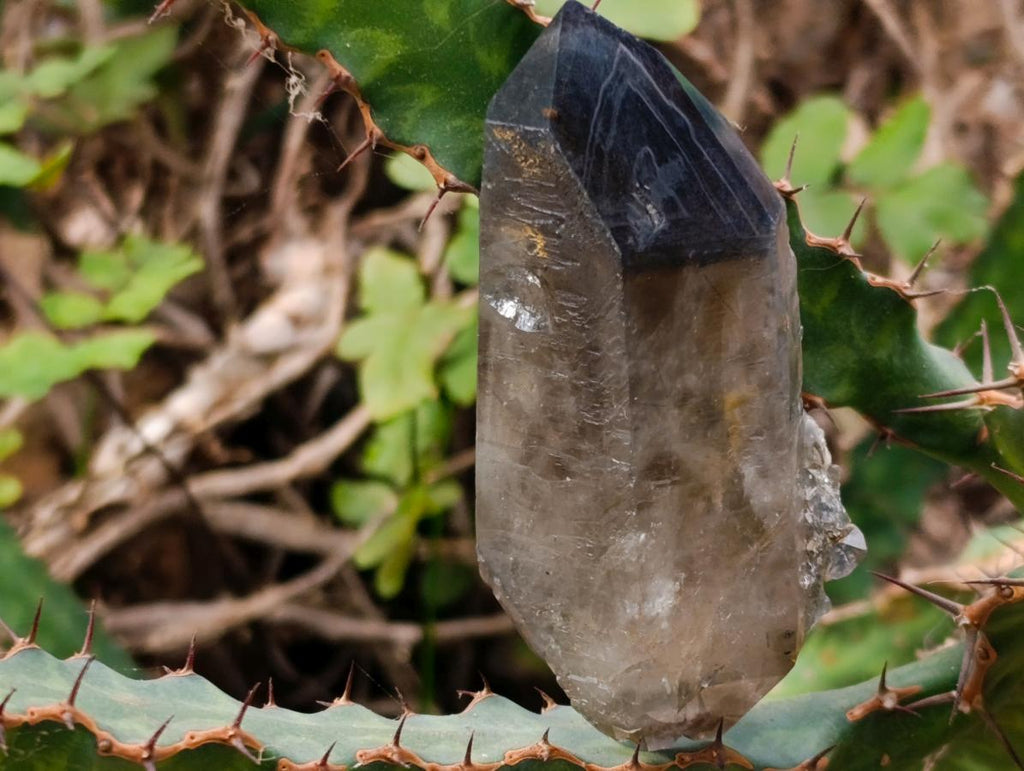 Natural Rare Double Terminated Smokey Quartz Crystal x 1 From Zomba, Malawi