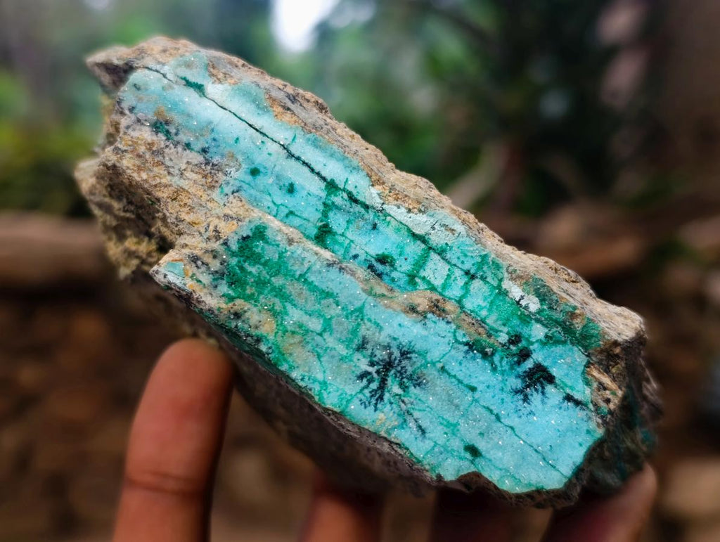 Natural Chrysocolla with Malachite Specimen x 1 From Lupoto Mine, Congo