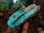 Natural Chrysocolla with Malachite Specimen x 1 From Lupoto Mine, Congo