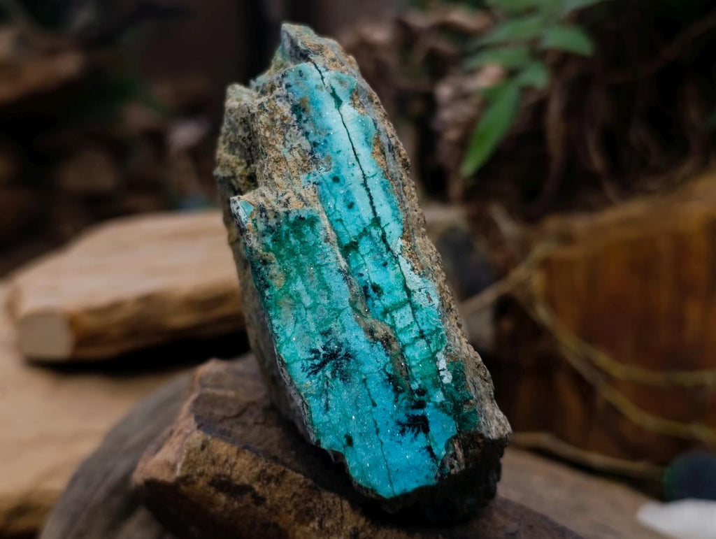 Natural Chrysocolla with Malachite Specimen x 1 From Lupoto Mine, Congo