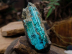 Natural Chrysocolla with Malachite Specimen x 1 From Lupoto Mine, Congo
