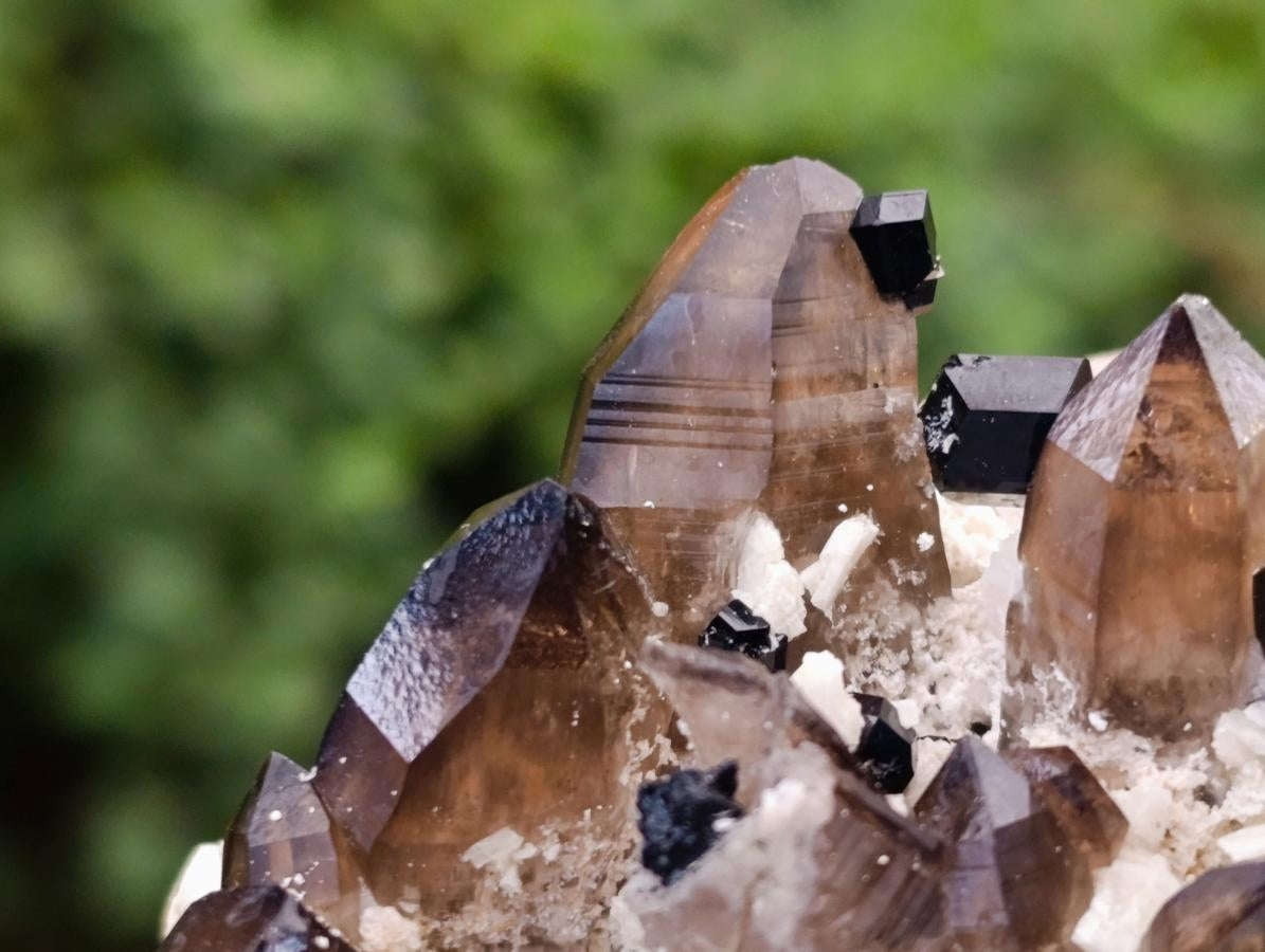 Natural Schorl Black Tourmaline Specimen with Smokey Quartz x 1 From Erongo, Namibia