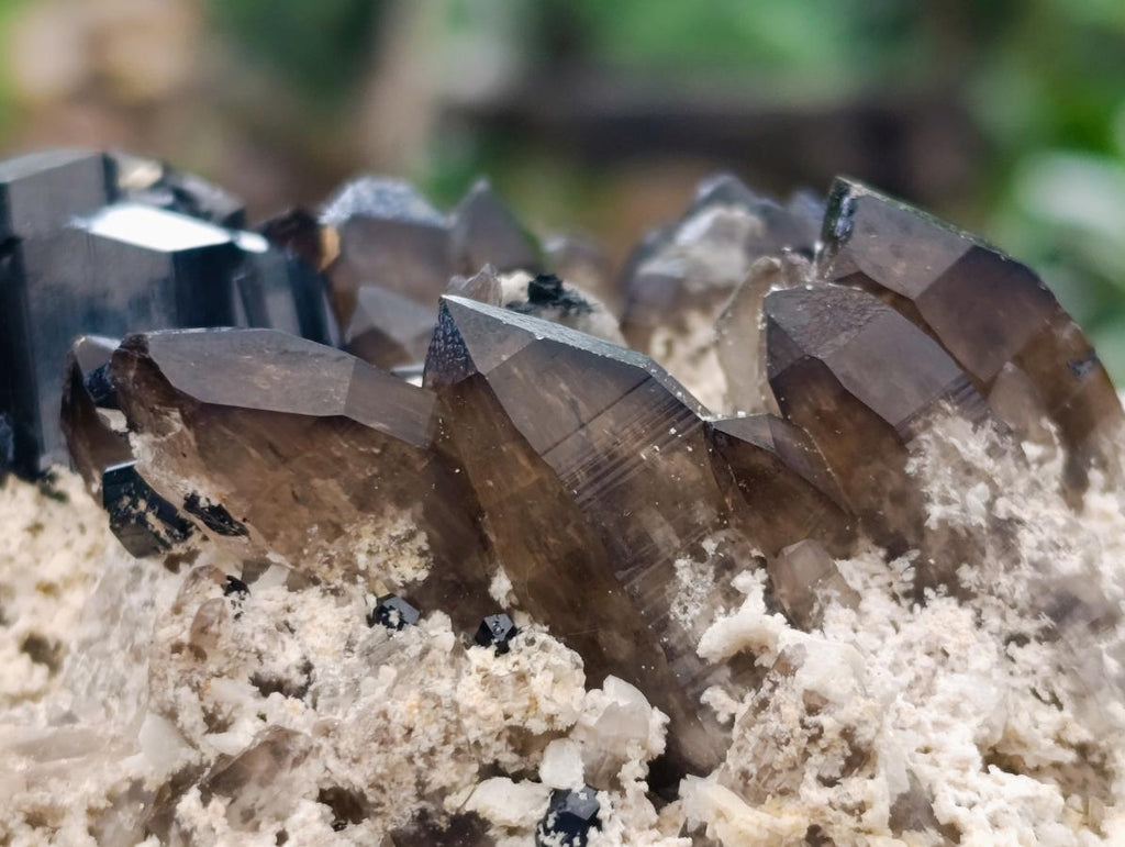 Natural Schorl Black Tourmaline Specimen with Smokey Quartz x 1 From Erongo, Namibia