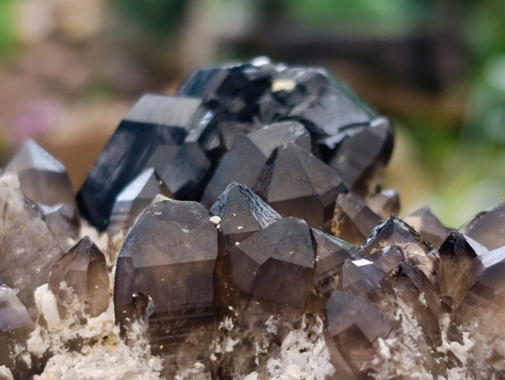 Natural Schorl Black Tourmaline Specimen with Smokey Quartz x 1 From Erongo, Namibia