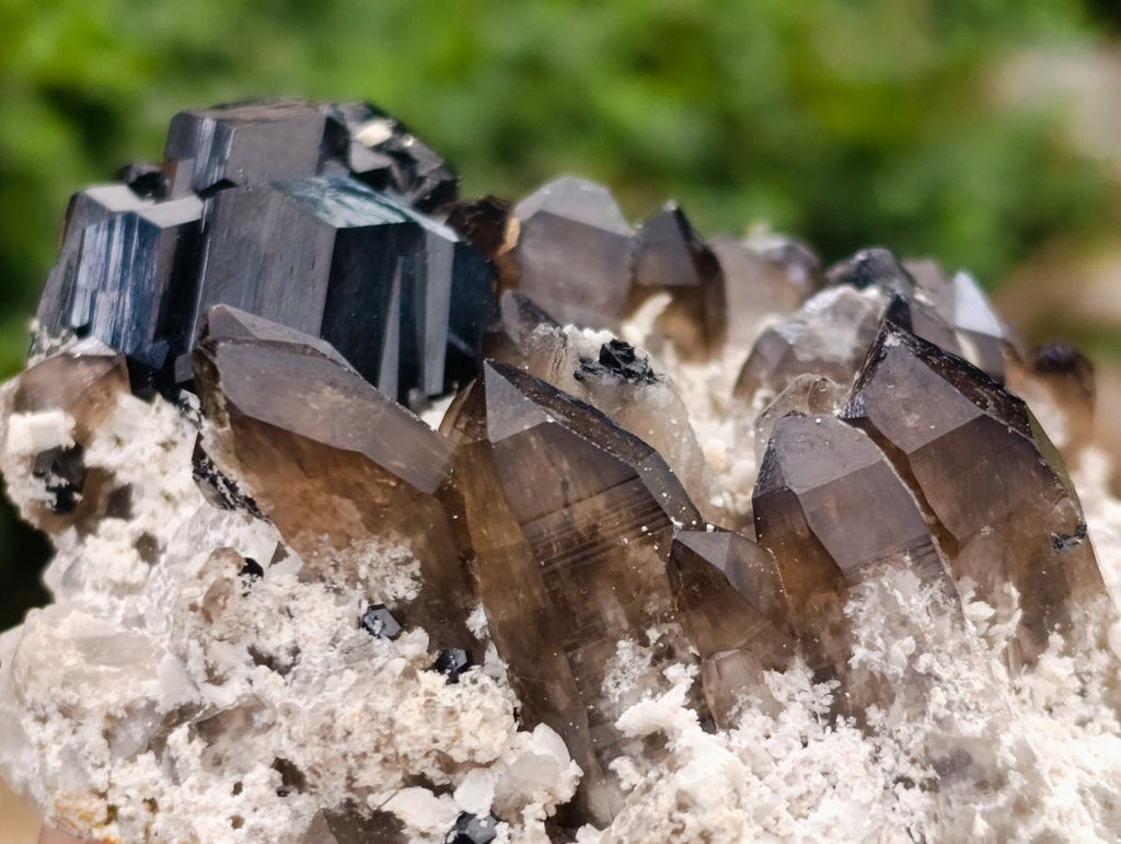 Natural Schorl Black Tourmaline Specimen with Smokey Quartz x 1 From Erongo, Namibia