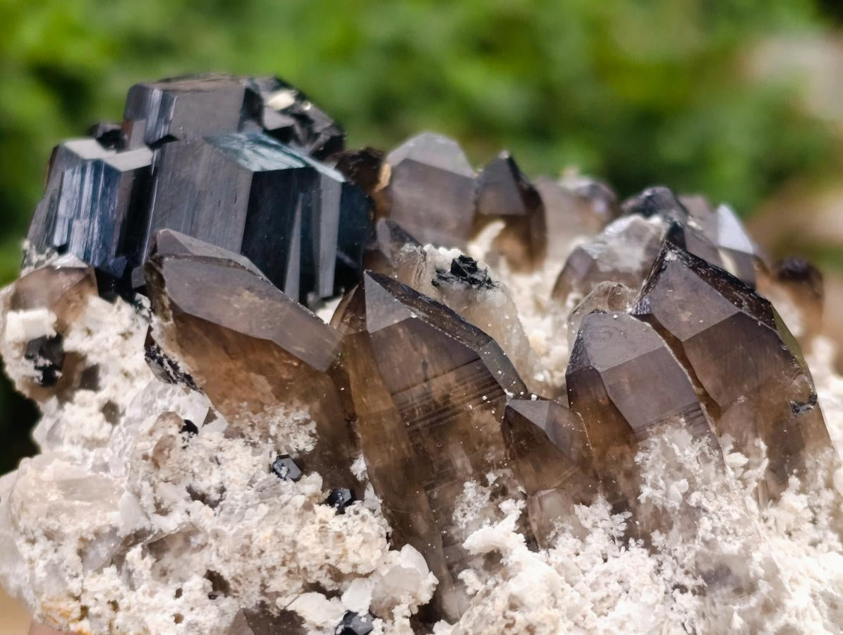 Natural Schorl Black Tourmaline Specimen with Smokey Quartz x 1 From Erongo, Namibia