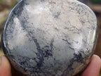 Polished Golden Pyrite "Pharaoh Stone" Palm Stone x 1 From Iron Duke Mine, Zimbabwe