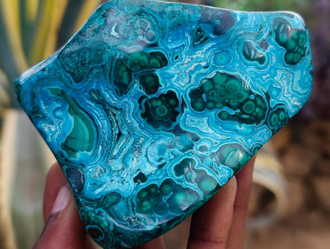 Polished Malacolla Free Form x 1 From Kulukuluku, Congo