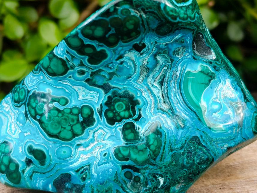 Polished Malacolla Free Form x 1 From Kulukuluku, Congo