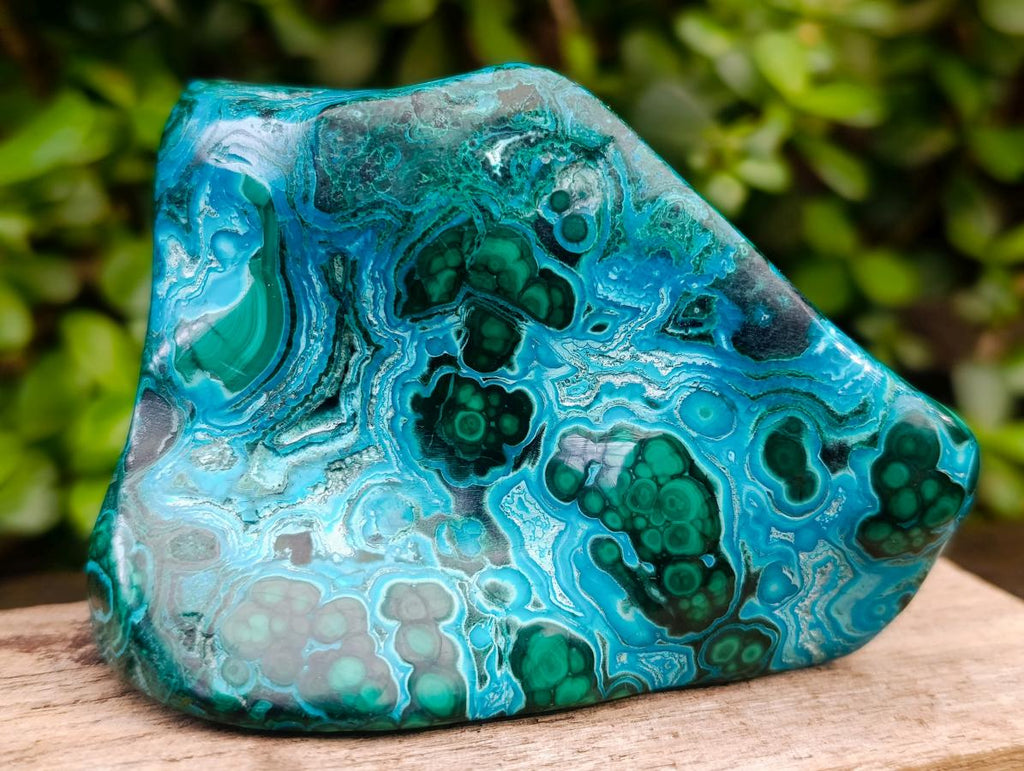 Polished Malacolla Free Form x 1 From Kulukuluku, Congo