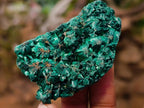 Natural Mix of African Minerals, Set of 12 x 1 From Southern Africa