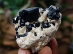 Natural Mix of African Minerals, Set of 12 x 1 From Southern Africa