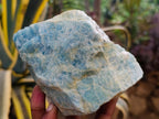 Natural Large Hexagonal Aquamarine Crystal x 1 From Northern Cape, South Africa