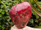 Polished Rare Red Rhodonite Standing Display Piece x 1 From Zimbabwe