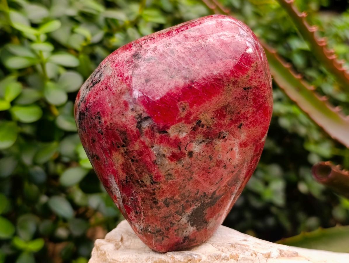 Polished Rare Red Rhodonite Standing Display Piece x 1 From Zimbabwe