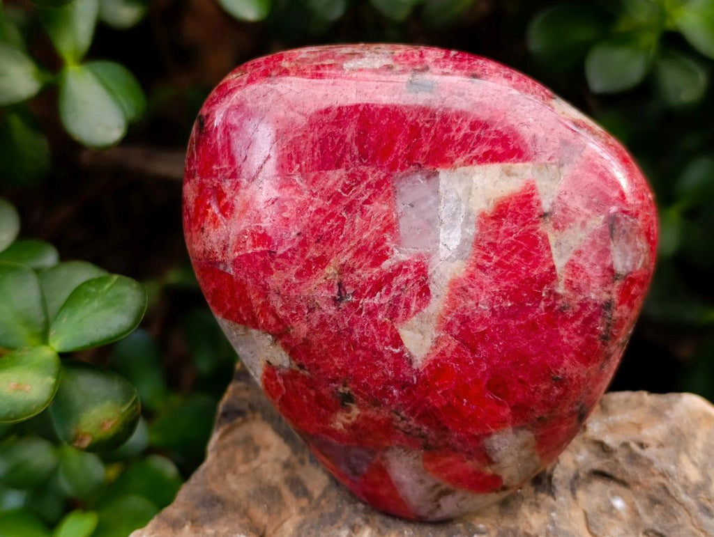 Polished Rare Red Rhodonite Standing Display Piece x 1 From Zimbabwe