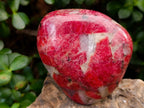 Polished Rare Red Rhodonite Standing Display Piece x 1 From Zimbabwe