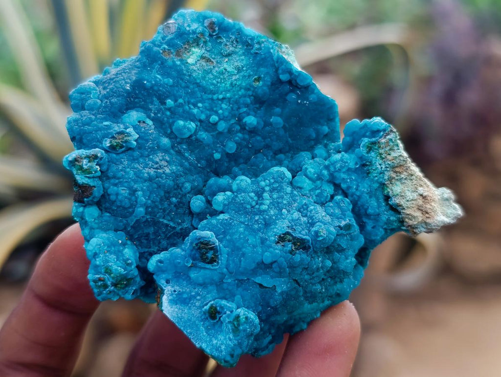Natural Mix of African Minerals, Set of 6 x 1 From Southern Africa