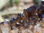 Natural Mix of African Minerals, Set of 6 x 1 From Southern Africa