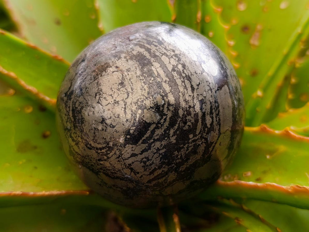 Polished Golden Pyrite "Pharaoh Stone" Sphere x 1 From Iron Duke Mine, Zimbabwe