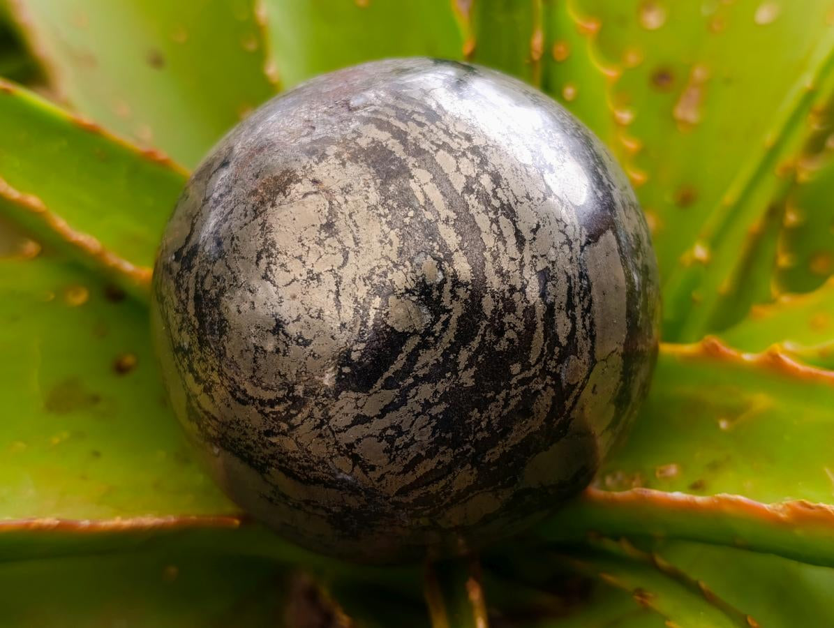 Polished Golden Pyrite "Pharaoh Stone" Sphere x 1 From Iron Duke Mine, Zimbabwe