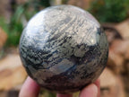 Polished Golden Pyrite "Pharaoh Stone" Sphere x 1 From Iron Duke Mine, Zimbabwe
