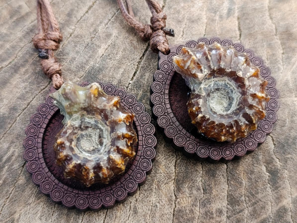 Hand Made Douvilleiceras Spiny Ammonite Necklace - Sold Per Piece - From Madagascar