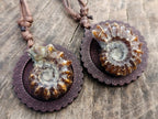 Hand Made Douvilleiceras Spiny Ammonite Necklace - Sold Per Piece - From Madagascar