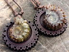 Hand Made Douvilleiceras Spiny Ammonite Necklace - Sold Per Piece - From Madagascar