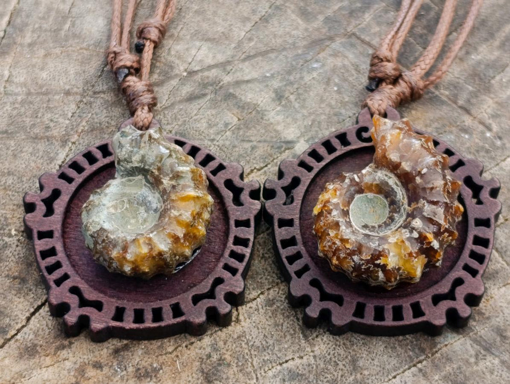 Hand Made Douvilleiceras Spiny Ammonite Necklace - Sold Per Piece - From Madagascar