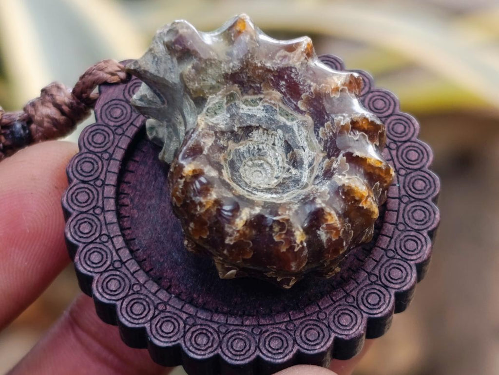 Hand Made Douvilleiceras Spiny Ammonite Necklace - Sold Per Piece - From Madagascar