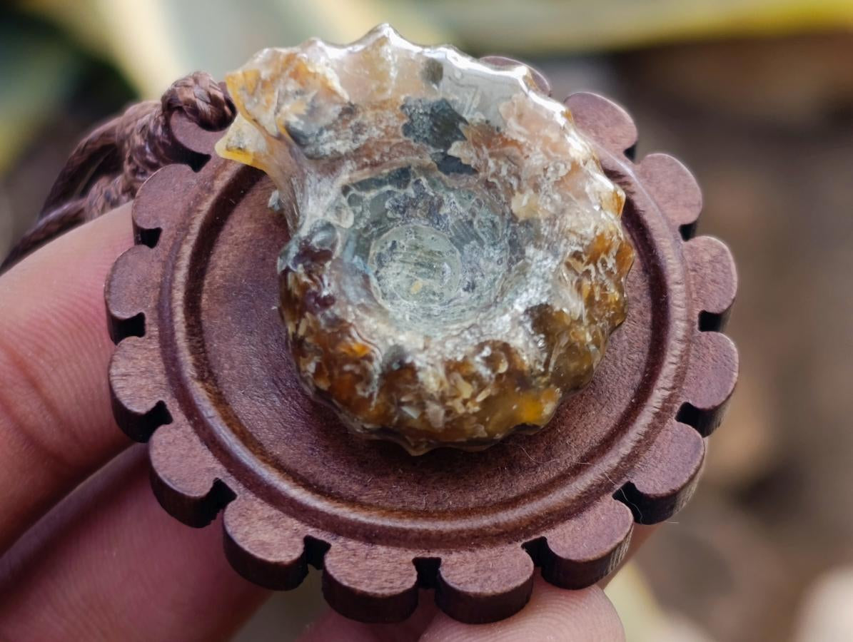 Hand Made Douvilleiceras Spiny Ammonite Necklace - Sold Per Piece - From Madagascar