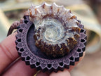 Hand Made Douvilleiceras Spiny Ammonite Necklace - Sold Per Piece - From Madagascar