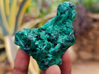 Natural Mix of African Minerals and Crystals Set of 12 x 1 From Southern Africa