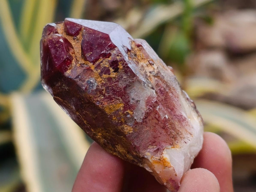 Natural Mix of African Minerals and Crystals Set of 12 x 1 From Southern Africa
