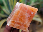 Natural Mix of African Minerals and Crystals Set of 12 x 1 From Southern Africa